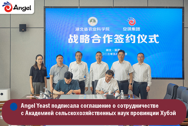 Angel Yeast подписала соглашение  с Академией сельскохозяйственных наук провинции Хубэй